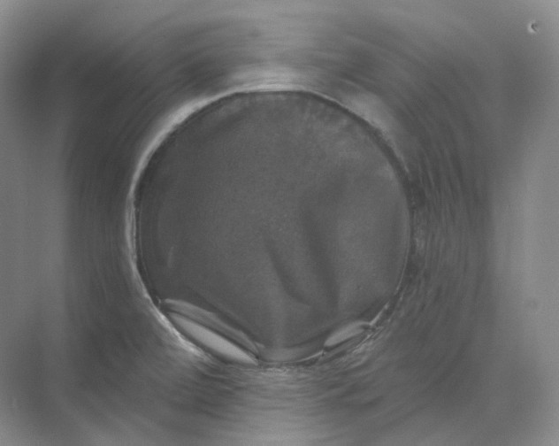 X0000075901472200609291719