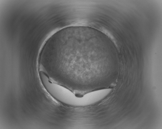 X0000075901480200609291719