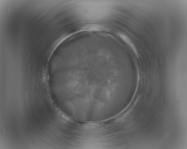 X0000075901481200609291719