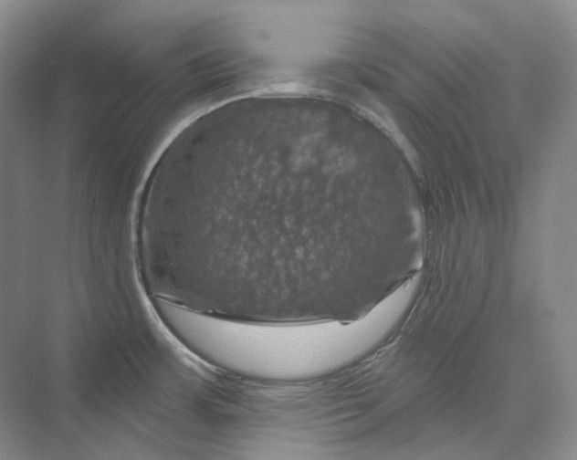 X0000075901483200609291719