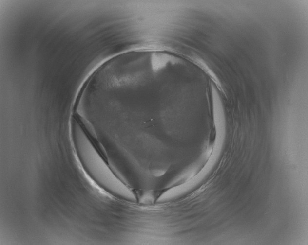 X0000075901484200609291719