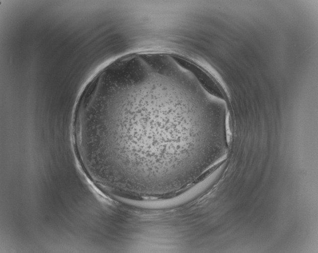 X0000075901485200609291719