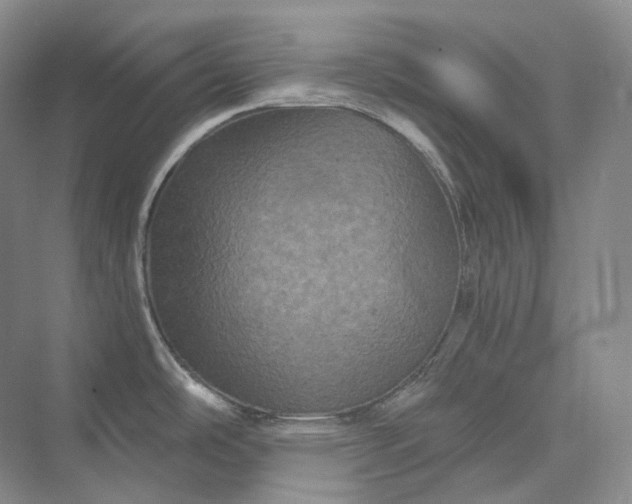 X0000075901486200609291719