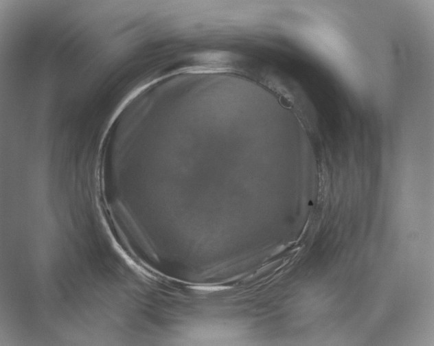 X0000075901487200609291719