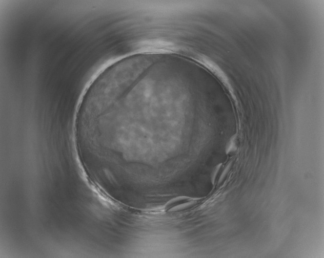 X0000075901488200609291719