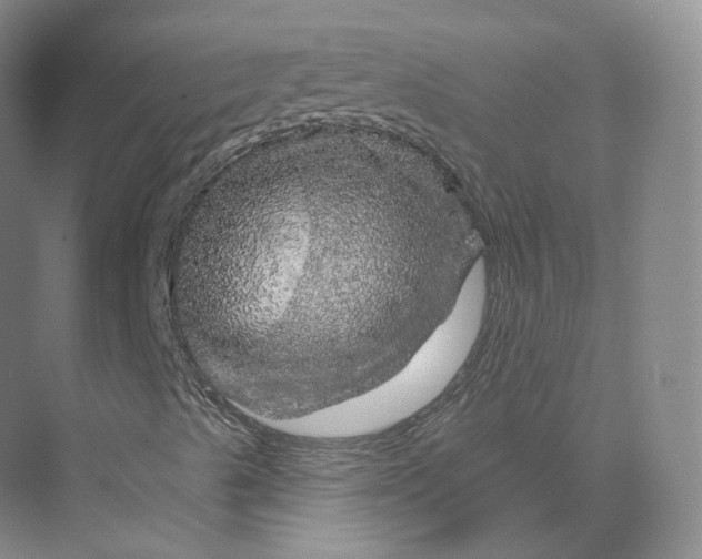 X0000075901489200609291718