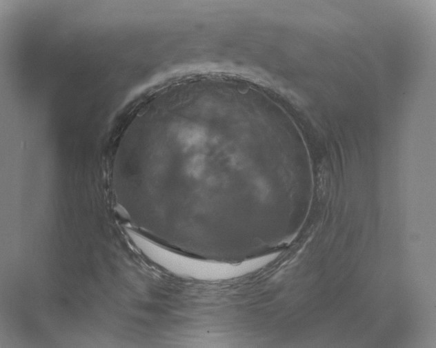 X0000075901494200609291718