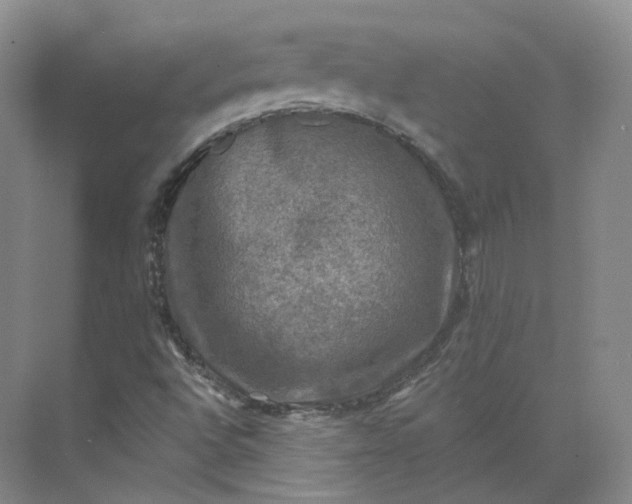 X0000075901496200609291718