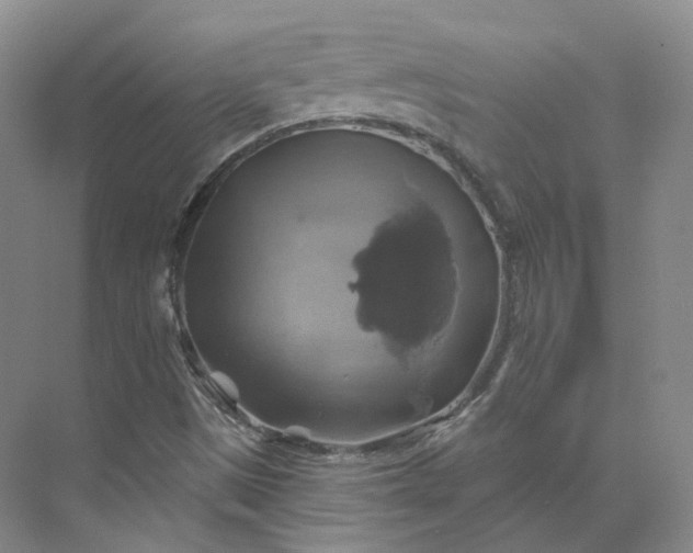 X0000075901497200609291718