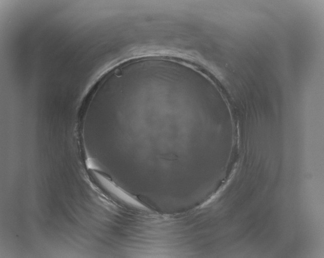 X0000075901501200609291718