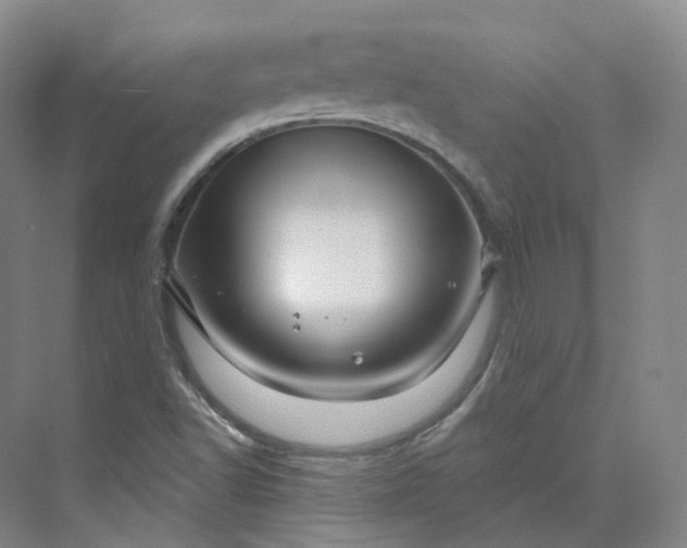 X0000075901502200609291718