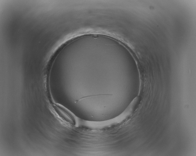 X0000075901503200609291718