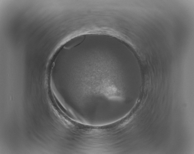 X0000075901506200609291718