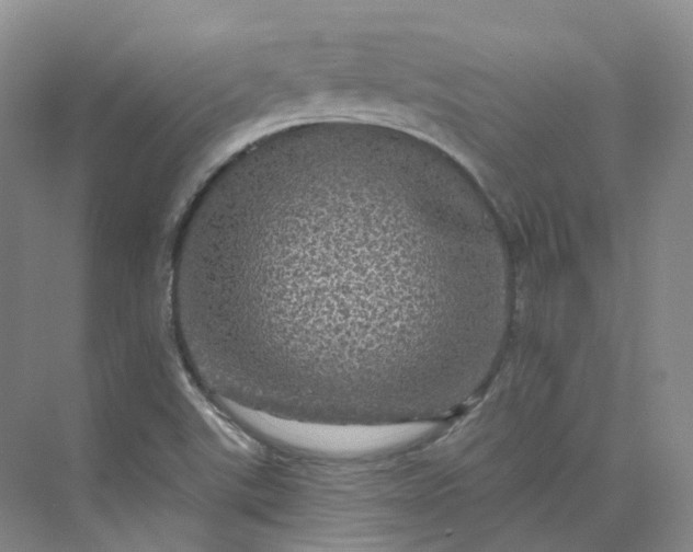 X0000075901507200609291718