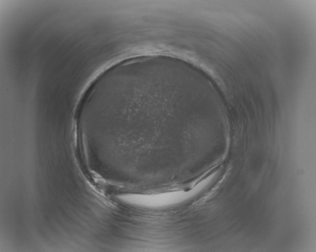 X0000075901509200609291718