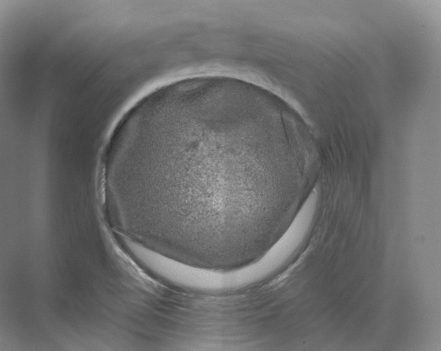 X0000075901510200609291718