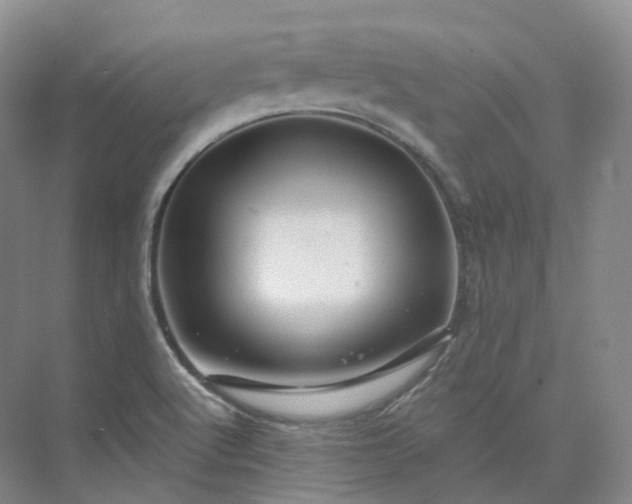 X0000075901512200609291718