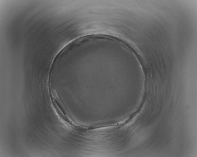 X0000075901513200609291718