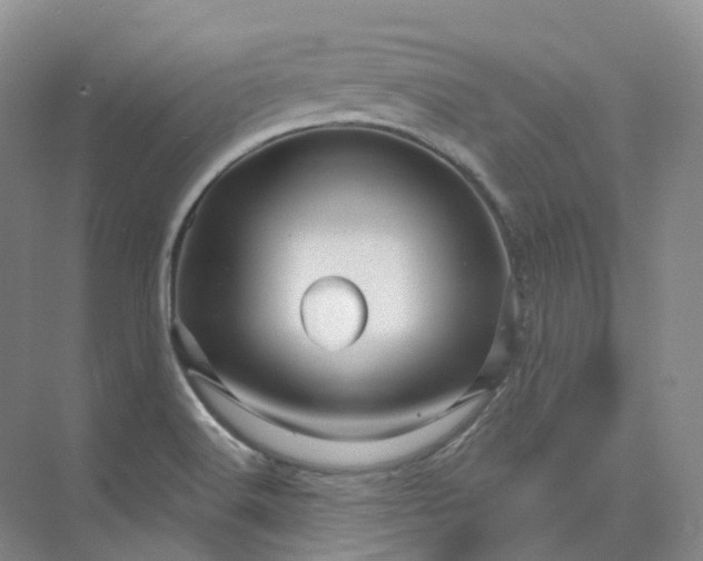 X0000075901516200609291718