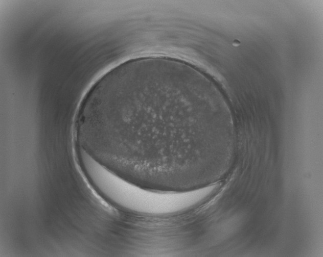 X0000075901517200609291718