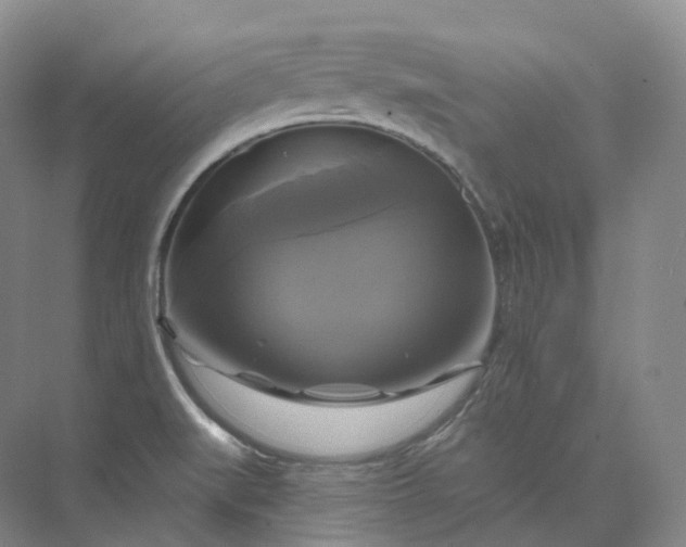 X0000075901519200609291718