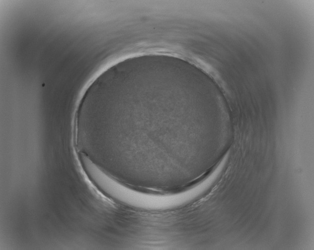 X0000075901520200609291718