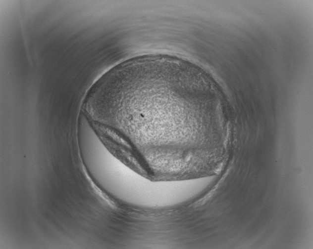 X0000075901521200609291718