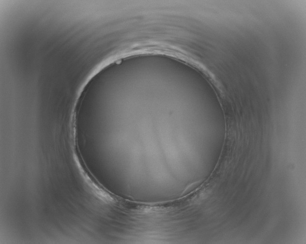 X0000075901522200609291718