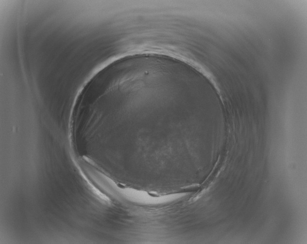 X0000075901525200609291718