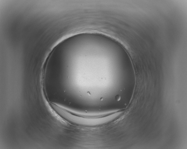 X0000075901526200609291718