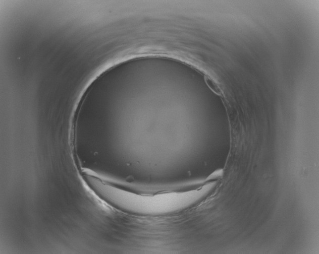 X0000075901527200609291719