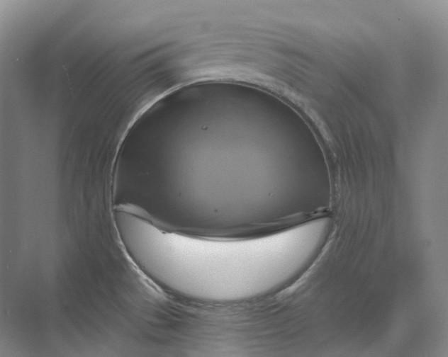 X0000075901529200609291719