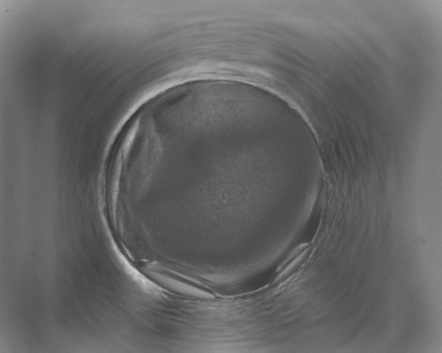 X0000075901531200609291719