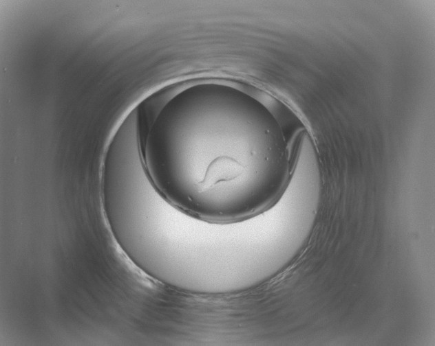 X0000075901532200609291719