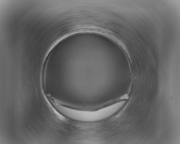 X0000075901533200609291719