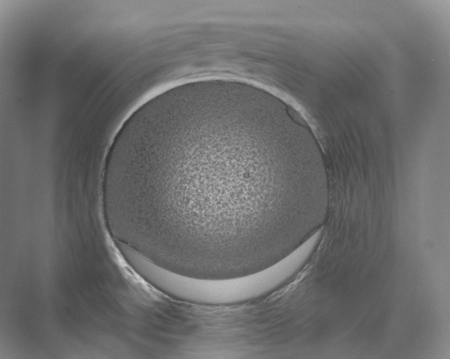 X0000075901534200609291719