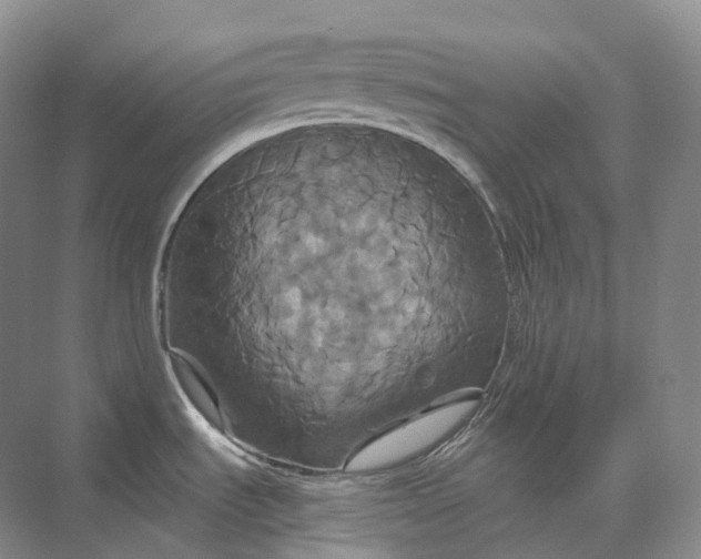 X0000075901535200609291719