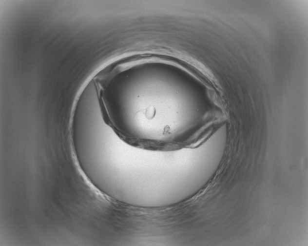 X0000075901536200609291719