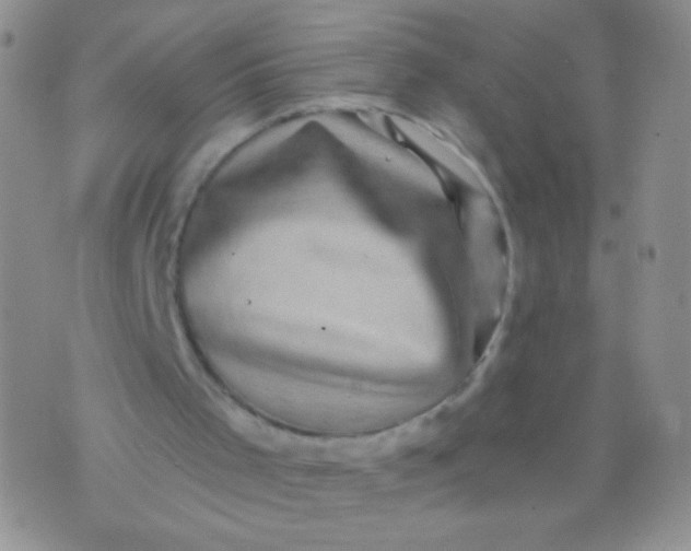 X0000075900001200610062129