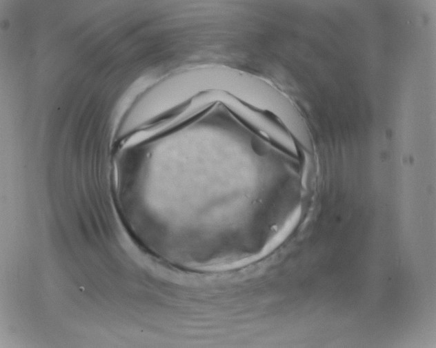 X0000075900003200610062129