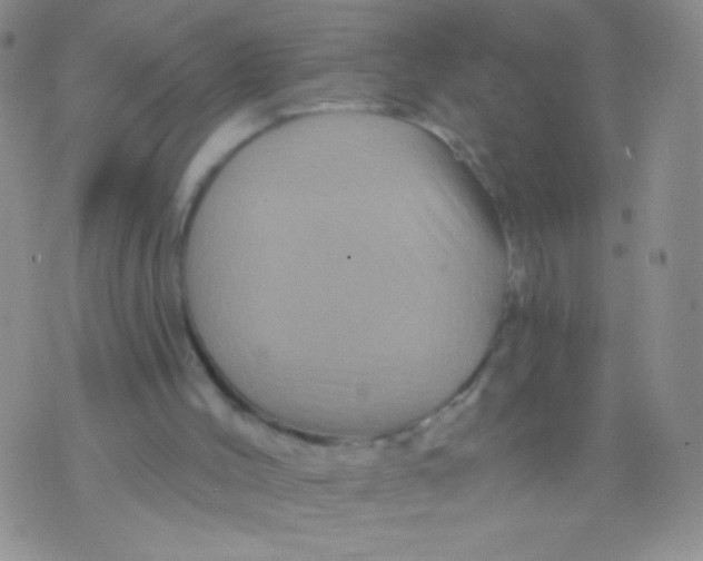 X0000075900004200610062129