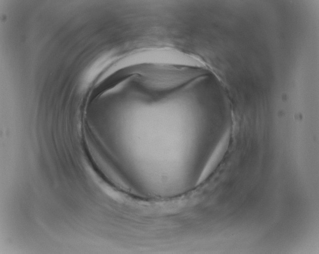 X0000075900005200610062129