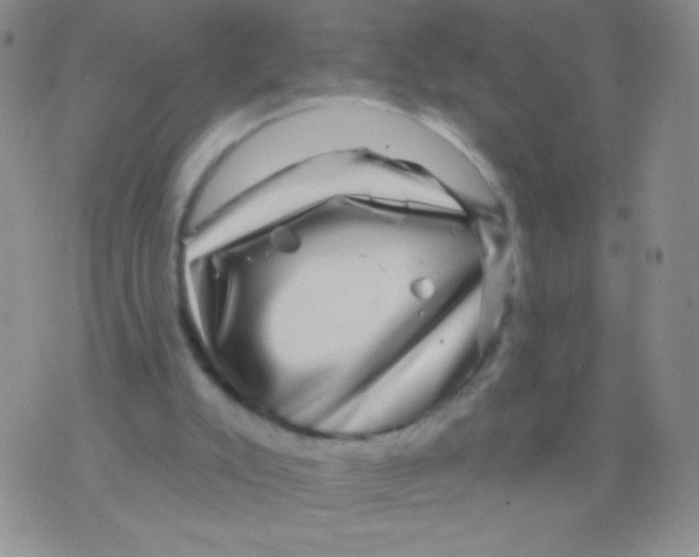 X0000075900007200610062129