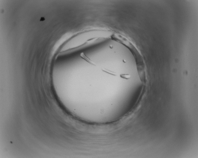 X0000075900008200610062129