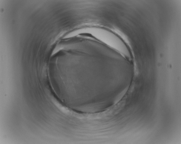 X0000075900009200610062129