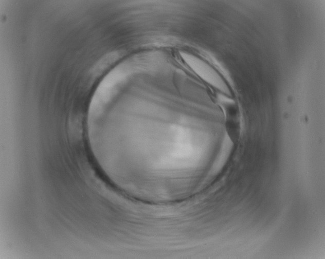 X0000075900010200610062129