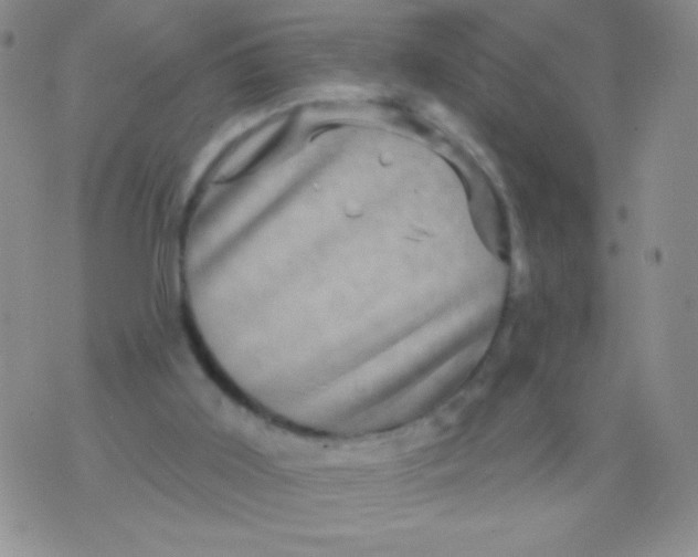 X0000075900011200610062129