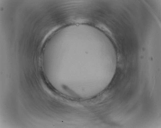 X0000075900012200610062129