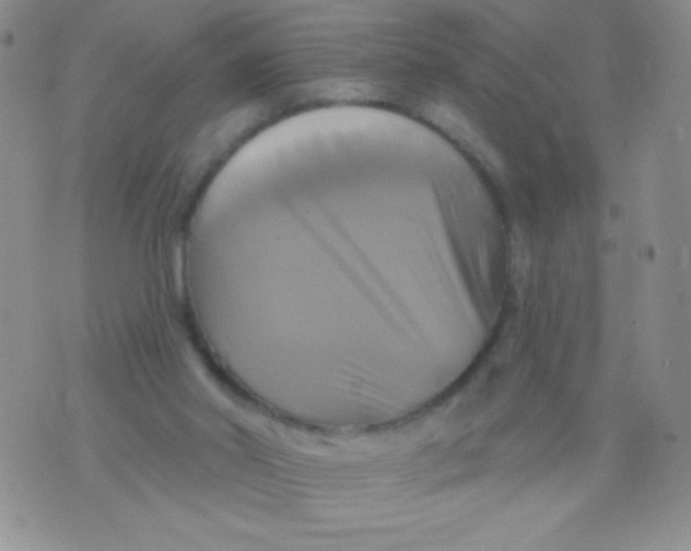 X0000075900014200610062129