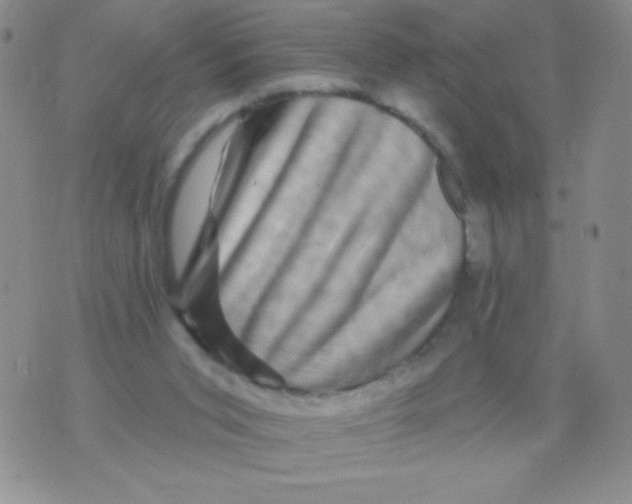 X0000075900015200610062129